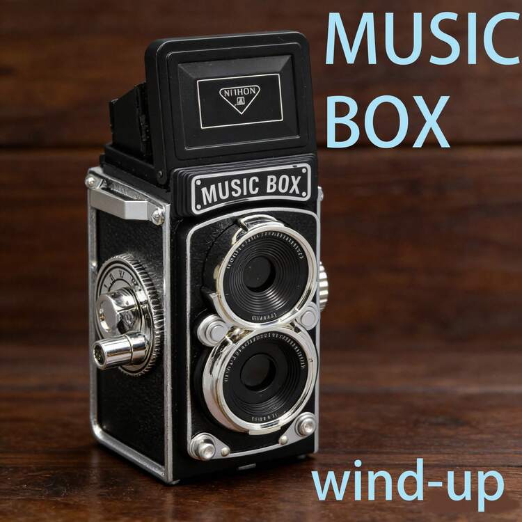 Vintage Retro Camera Shaped Mechanical Music Box - Image 2